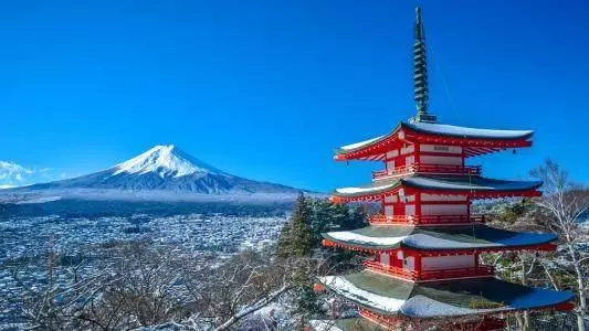 這些生肖不用算命了!1月11日開始,彩票瘋狂中不停!