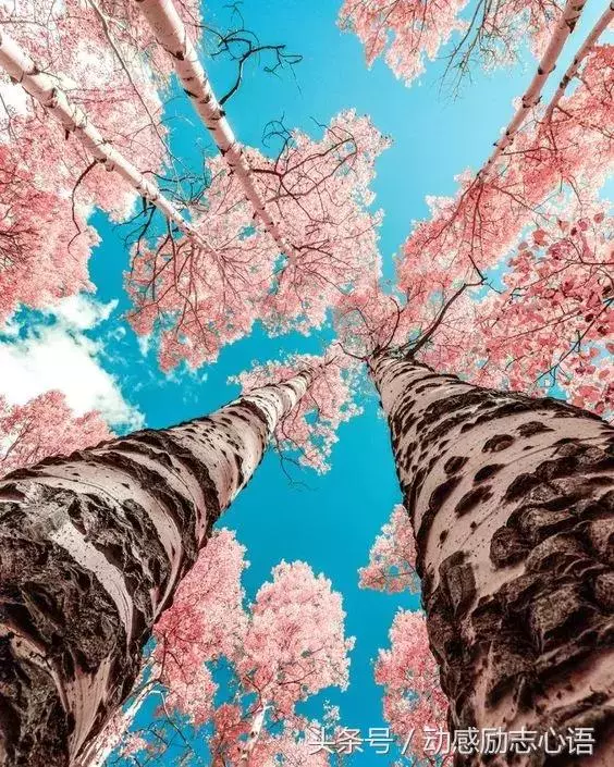 奇景異照,實在太美了!