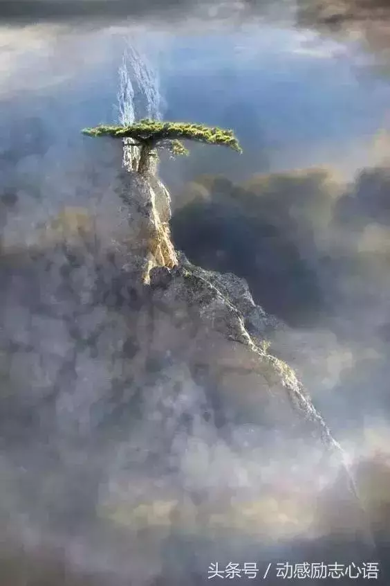 奇景異照,實在太美了!