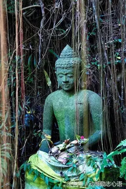 奇景異照,實在太美了!