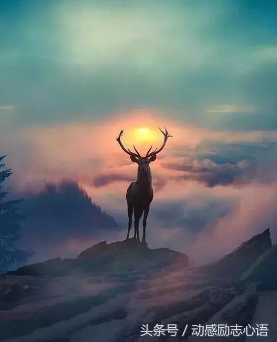 奇景異照,實在太美了!