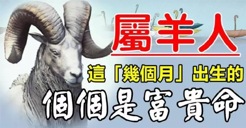 十羊九苦?假的!這「幾個月」出生的屬羊人個個是富貴命
