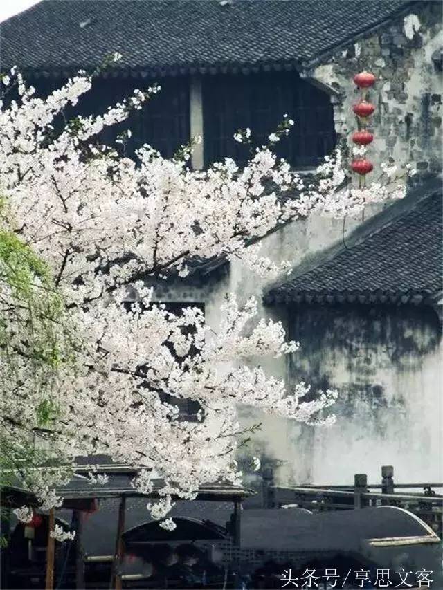 杜月笙:學會控制自己的脾氣,才能留住滿身的福氣