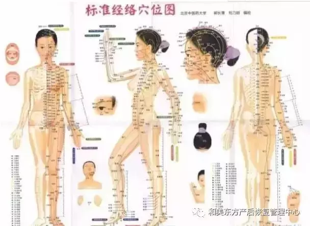 經絡不通,補什麼都沒有用!只用一招:經絡通暢百病消!