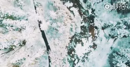 這裡一下雪就美成了現實版的天空之城,還能泡著溫泉看雪山