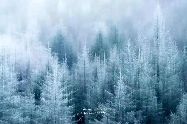 這裡一下雪就美成了現實版的天空之城,還能泡著溫泉看雪山