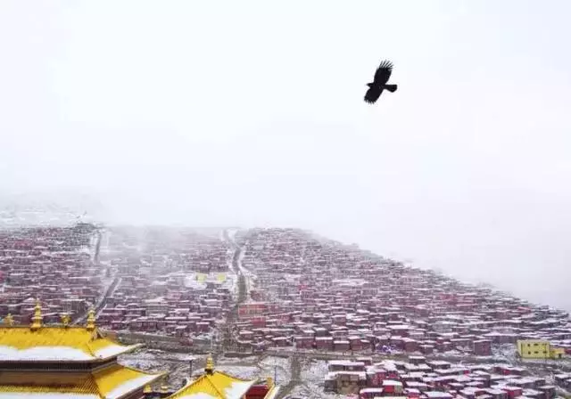 這裡一下雪就美成了現實版的天空之城,還能泡著溫泉看雪山