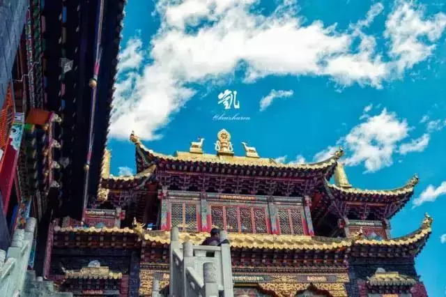 這裡一下雪就美成了現實版的天空之城,還能泡著溫泉看雪山