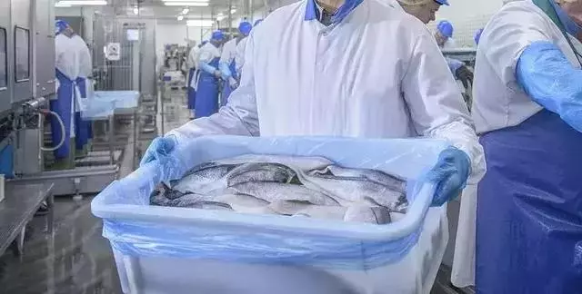 終於找到煲劇必備頭號零食