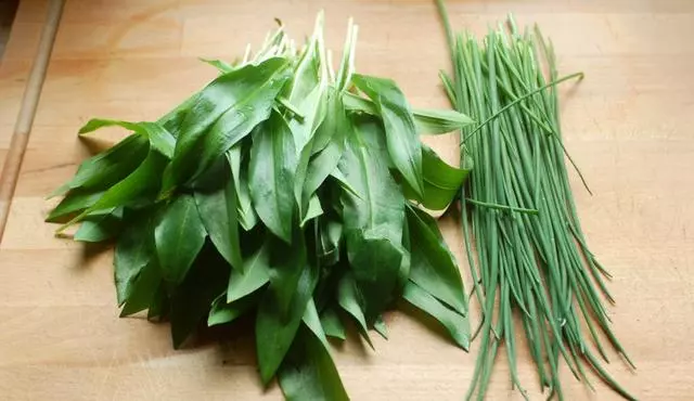 德國怪事一籮筐。韭菜比肉要貴好幾倍!?