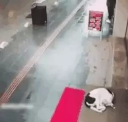 陌生小姐姐為蜷縮在寒風中的流浪狗蓋圍巾,這大概就是天使吧