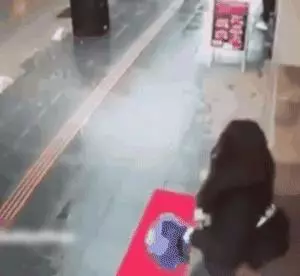 陌生小姐姐為蜷縮在寒風中的流浪狗蓋圍巾,這大概就是天使吧