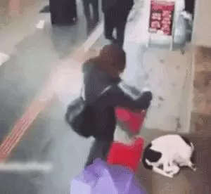 陌生小姐姐為蜷縮在寒風中的流浪狗蓋圍巾,這大概就是天使吧
