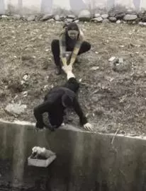 陌生小姐姐為蜷縮在寒風中的流浪狗蓋圍巾,這大概就是天使吧