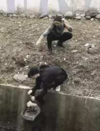 陌生小姐姐為蜷縮在寒風中的流浪狗蓋圍巾,這大概就是天使吧
