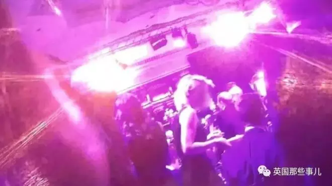 女記者臥底進入「上流慈善晚會」想真實轉播,沒想到目睹「史上最下流X亂派對」當場崩潰..