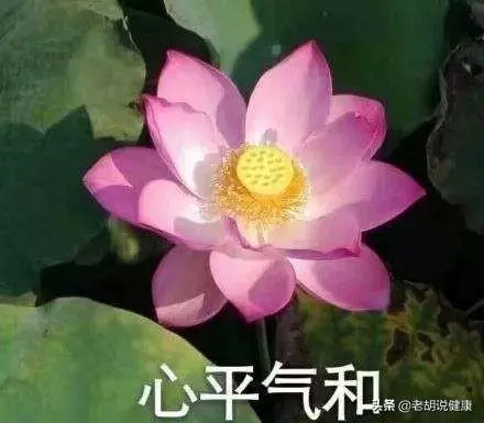 冬季養生先養肺,養肺注意4方面,3個清肺食譜換著吃,肺部更健康