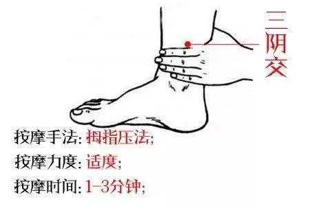 針灸穴位妙計,穴位歌訣讓你輕鬆愛上記穴位