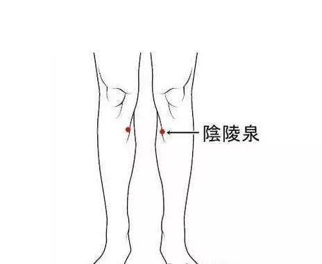 針灸穴位妙計,穴位歌訣讓你輕鬆愛上記穴位