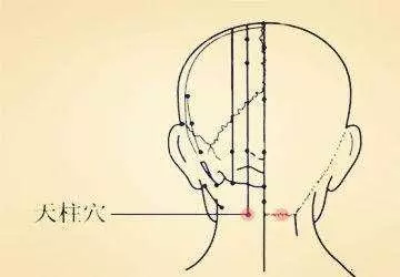 針灸穴位妙計,穴位歌訣讓你輕鬆愛上記穴位