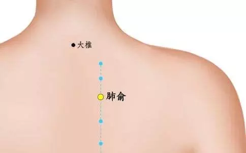 針灸穴位妙計,穴位歌訣讓你輕鬆愛上記穴位