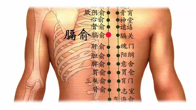 針灸穴位妙計,穴位歌訣讓你輕鬆愛上記穴位