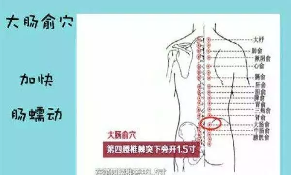 針灸穴位妙計,穴位歌訣讓你輕鬆愛上記穴位