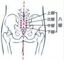 針灸穴位妙計,穴位歌訣讓你輕鬆愛上記穴位