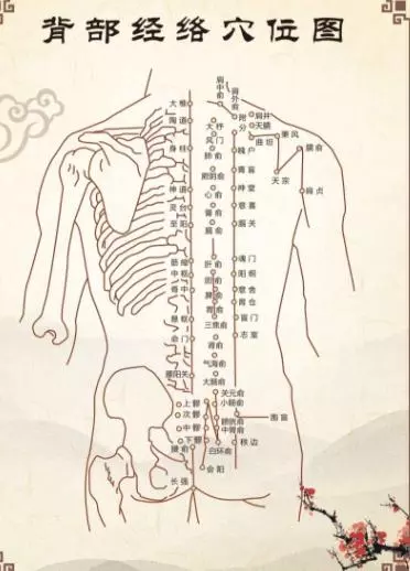 郭氏堂,經絡排毒的5大訣竅,幫你打掃體內所有毒素!
