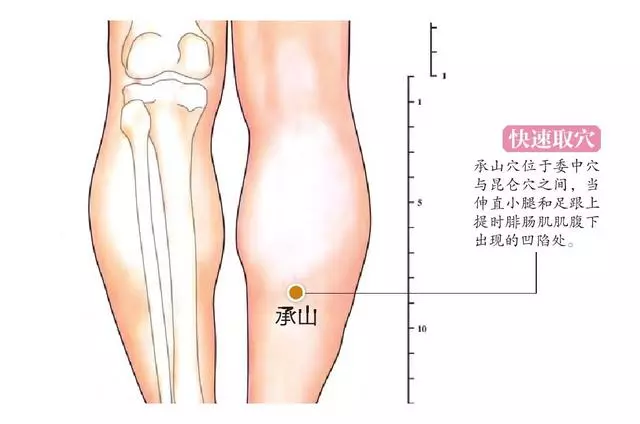 小腿上有個特效止痛穴,每天按一按,腰酸腿痛都不見!