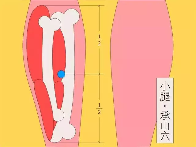 小腿上有個特效止痛穴,每天按一按,腰酸腿痛都不見!