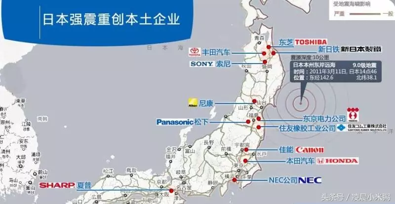 日本福島核輻射過了五年,生物變種千奇百怪..現在那裡竟然變成「這樣」!黃瓜上還長出葉子!