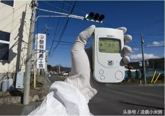 日本福島核輻射過了五年,生物變種千奇百怪..現在那裡竟然變成「這樣」!黃瓜上還長出葉子!