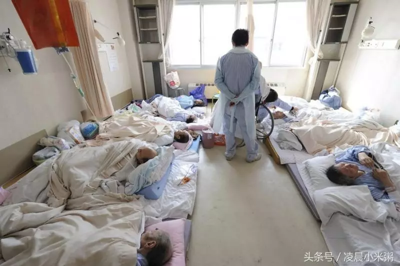 日本福島核輻射過了五年,生物變種千奇百怪..現在那裡竟然變成「這樣」!黃瓜上還長出葉子!