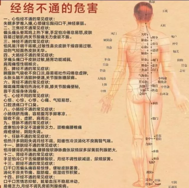 【 經絡收放療法 】