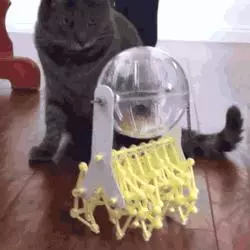 猜猜看《買床給倉鼠會發生什麼事?》答案就是圓了飼主的美夢帶牠到處......