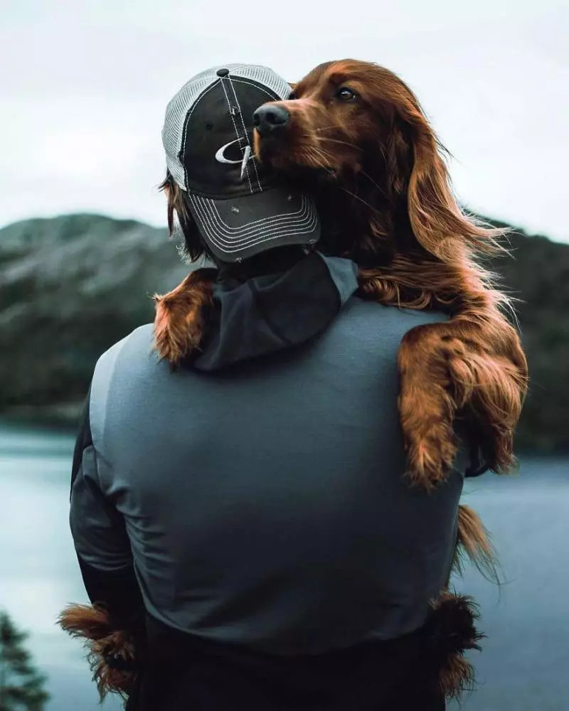 攝影師主人鏡頭下的汪星人!最美登山獵犬變模特兒 每走一步都是鎂光燈焦點啊QQ