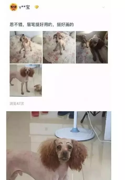 兩隻腳「都是反的」!買家氣炸找店家理論 商品照PO網超蠢亮點被笑翻