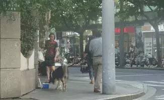 為了測試大家的人性黑暗面,把「一大桶硬幣」放在街上任人取用,經過「路人的行為」讓警察都不得不出現了…