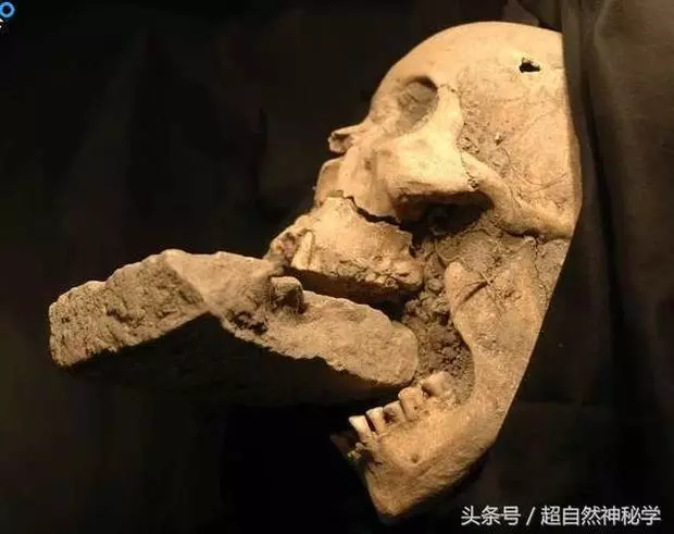 男子從車上跌落當場死亡,親友將他下葬卻聽到棺木內傳來「咀嚼聲」,打開棺木的畫面讓大家瞬間腿軟…