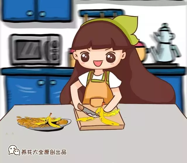 橘子皮放水裡泡一泡,勝過5瓶營養液,澆過的花油綠直冒芽!