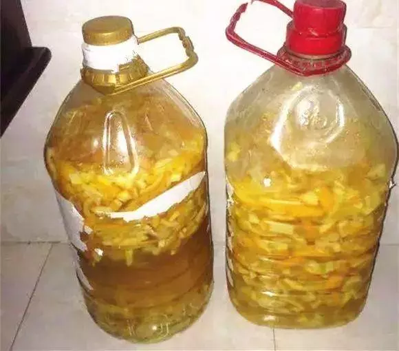 橘子皮放水裡泡一泡,勝過5瓶營養液,澆過的花油綠直冒芽!