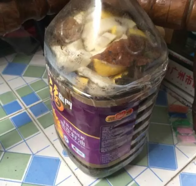 橘子皮放水裡泡一泡,勝過5瓶營養液,澆過的花油綠直冒芽!