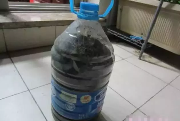 橘子皮放水裡泡一泡,勝過5瓶營養液,澆過的花油綠直冒芽!