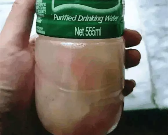 橘子皮放水裡泡一泡,勝過5瓶營養液,澆過的花油綠直冒芽!