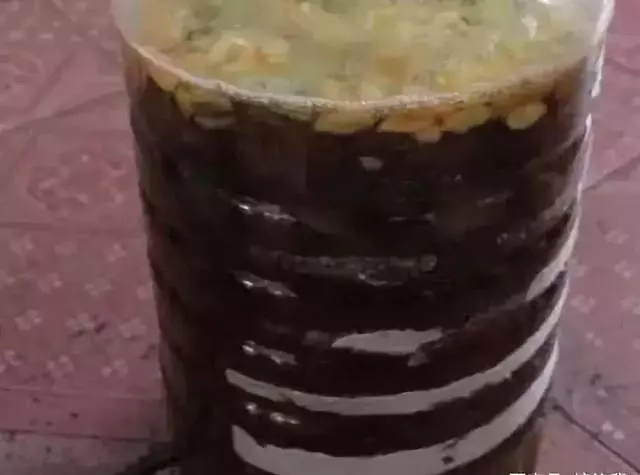 橘子皮放水裡泡一泡,勝過5瓶營養液,澆過的花油綠直冒芽!