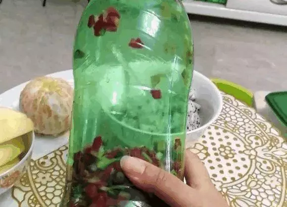 橘子皮放水裡泡一泡,勝過5瓶營養液,澆過的花油綠直冒芽!