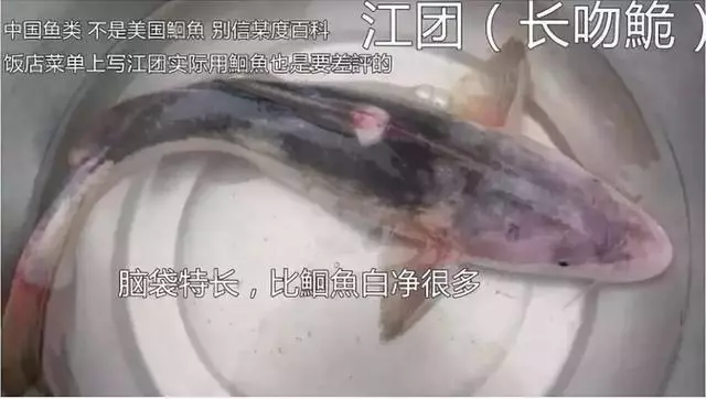 FDA最新公布:這7種魚不能給孩子吃,大人最好也別吃,尤其是媽媽們
