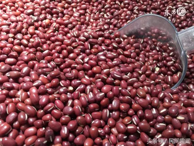 紅豆加一物,暴瘦20斤!排出10年毒!