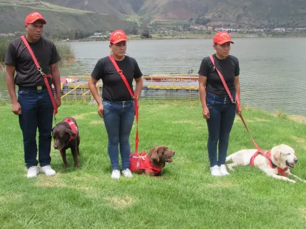 這隻搜救犬在地震災區「竭盡全力搜救」 ,找到7位生還者後「卻嚥下最後一口氣」